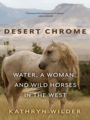 cover image of Desert Chrome